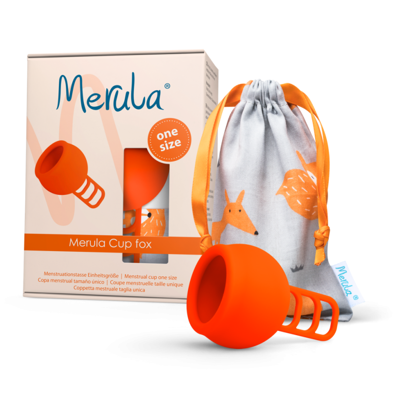 Merula cup fox