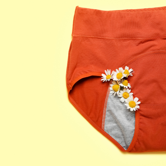 Menstruační kalhotky pro každou ženu | Lolee.cz